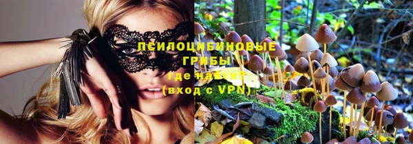 PSILOCYBIN Пролетарск