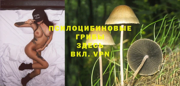 mdma Протвино