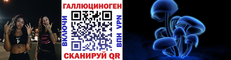 Псилоцибиновые грибы Psilocybe  Бабаево 